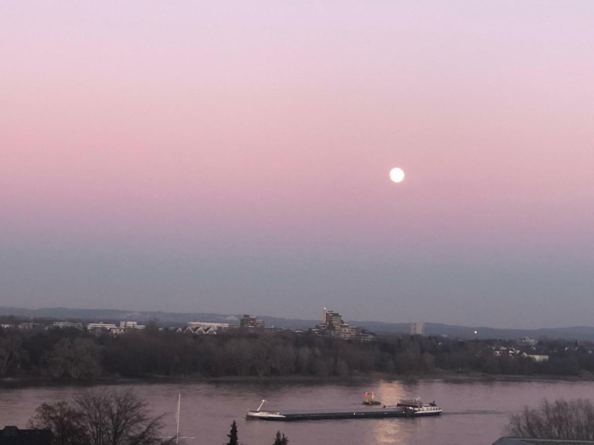 Rheinblick Sommershof Colonia Esterno foto